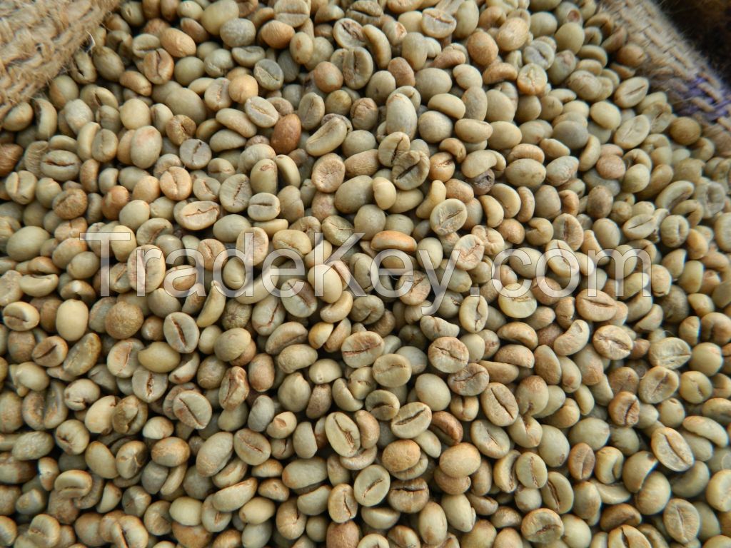 Vietnam Robusta green coffee beans