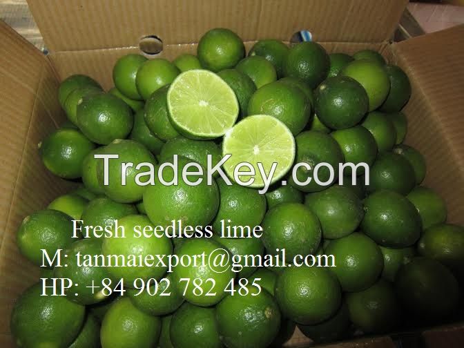 Good fresh seedless lime with cheap price