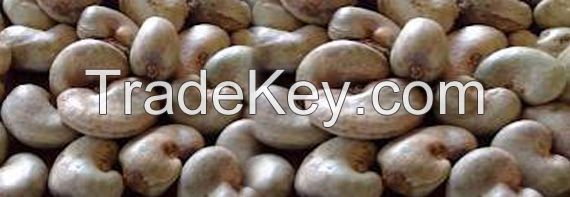 Raw Cashew Nuts/ Nigerian