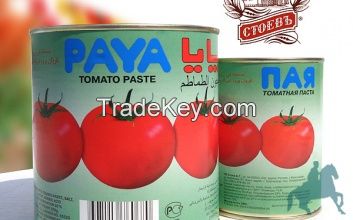 tomato paste