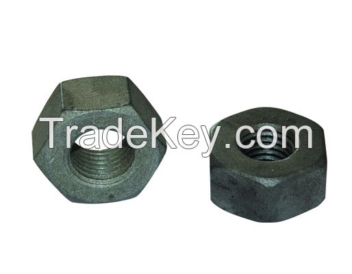 Hex Nut