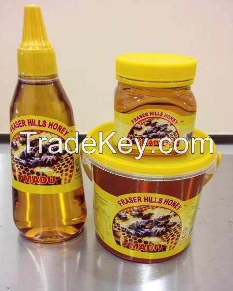 Tualang Wild Honey