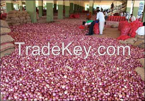 Red Nasik Onions, Non-Basmati Rice, Stainless Steel Utensils 