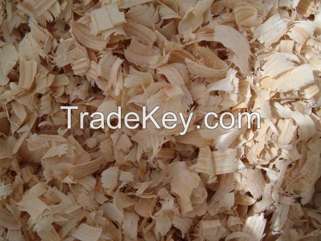 Wood Shavings- Good Price