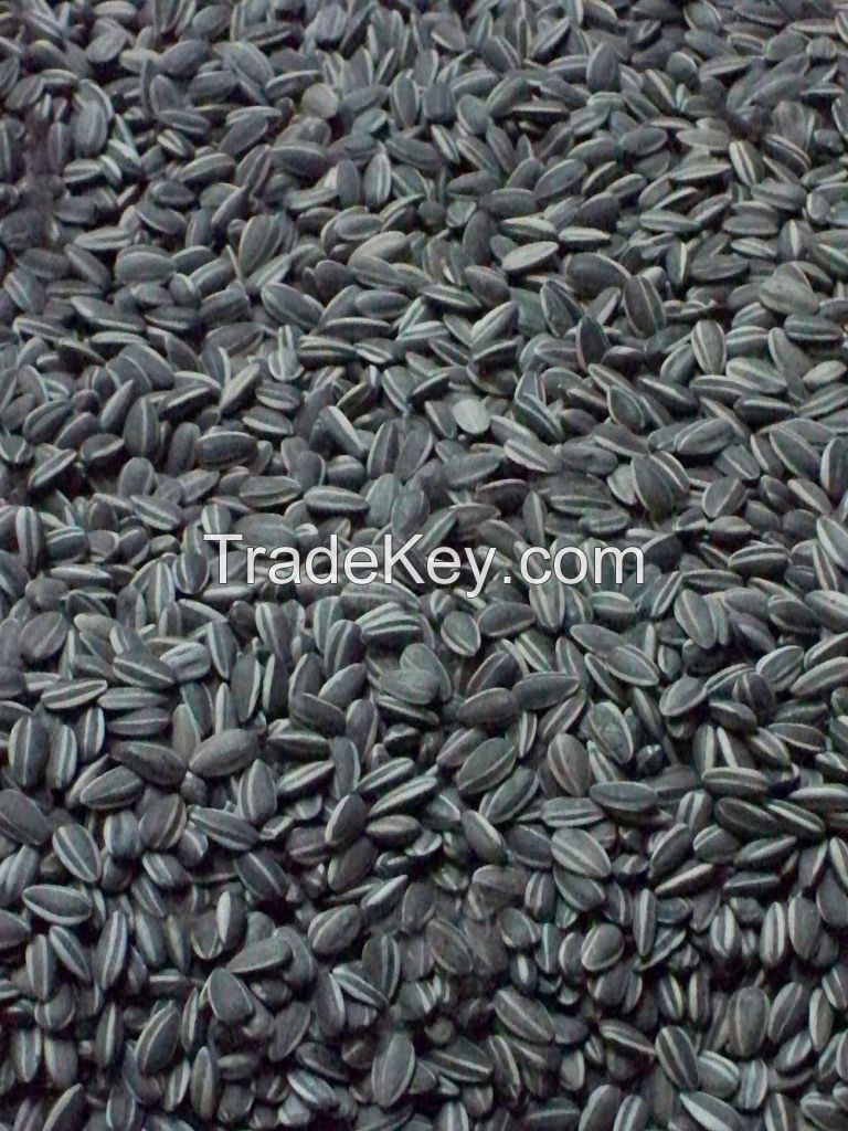 Sunflower Seeds (Russia Origin)