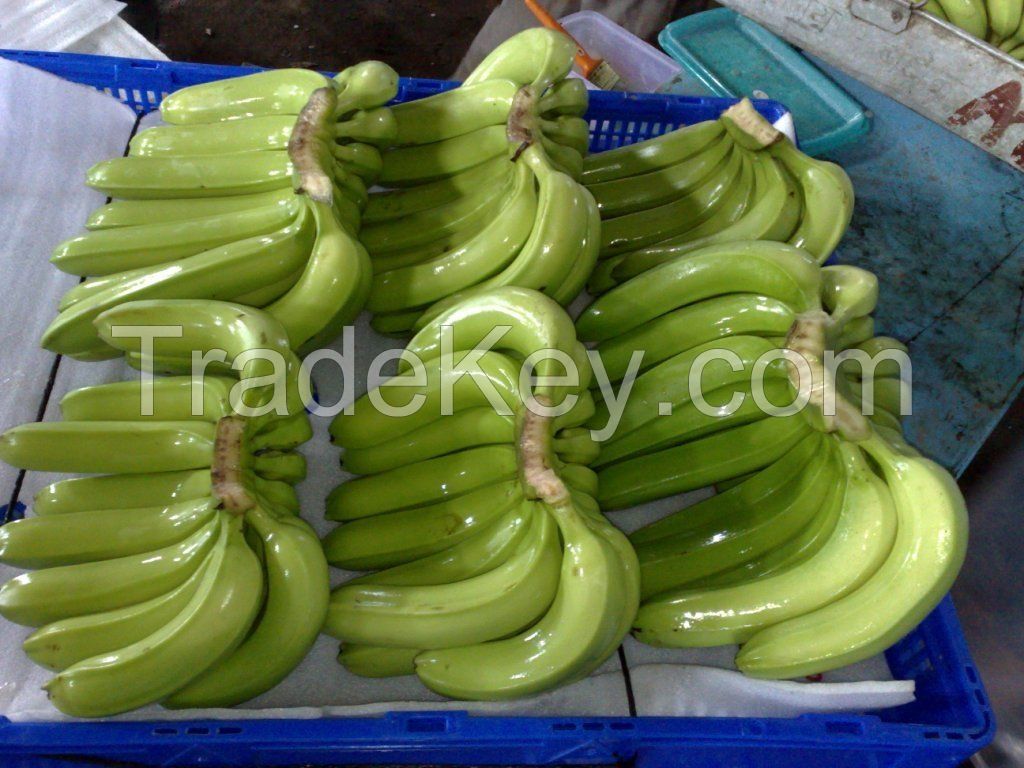 FRESH CAVENDISH BANANA