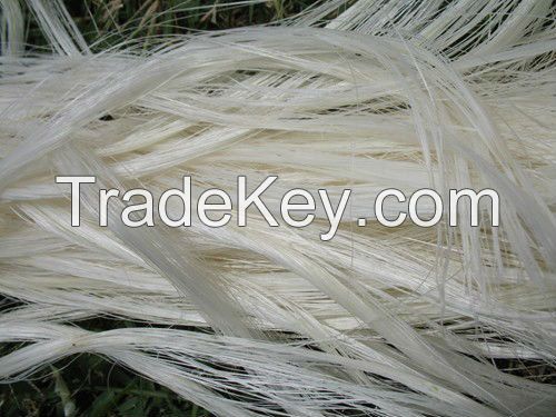 100% pure White Sisal Fibre for sale