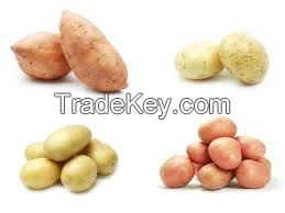 Garlic, Natural White, Purple, Elephant, Peeele