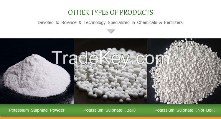 Fertilizer Products (Local & Imported)