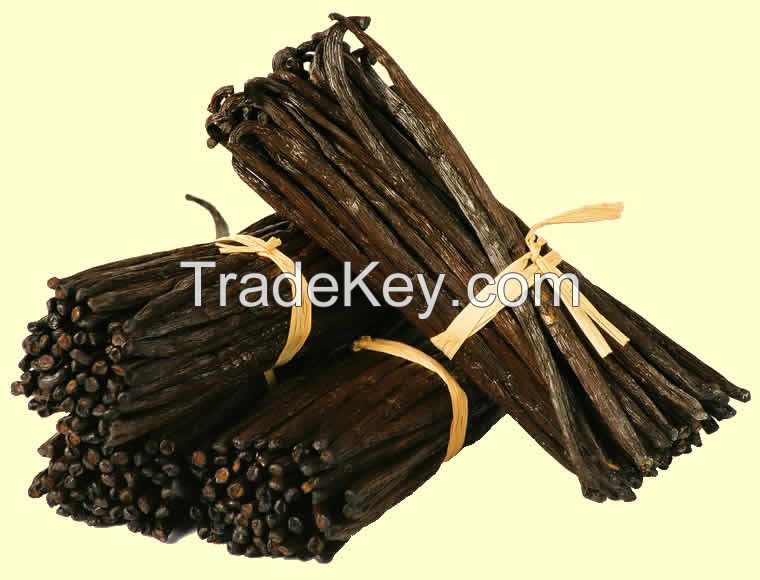 High Quality Organic vanilla beans, dried vanilla beans By Certo Domus