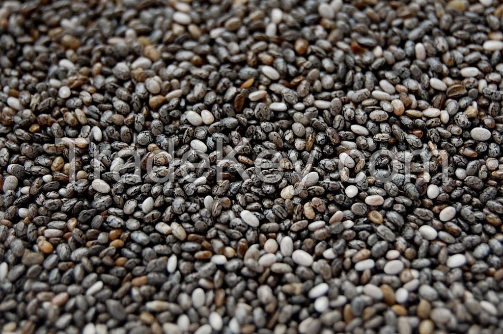 Bulk Chia seeds - High quality 99,9% pure