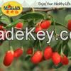 Ningxia Organic Dried Gojiberry (Wolfberry) Medlar-280/380/580/50g