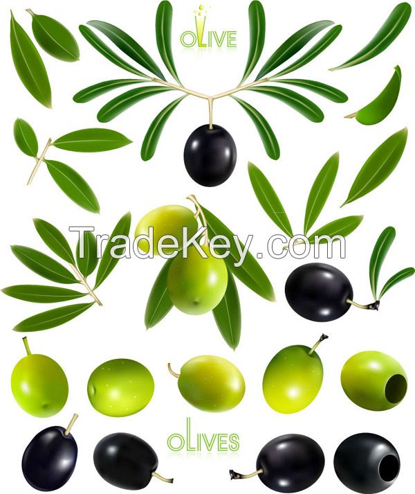 Olive Leaf Extract, Oleuropein, Hydroxytyrosol, Olive Extracts, cas: 32619-42-4