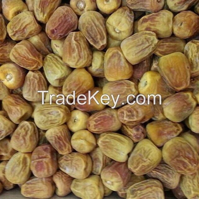 Saudi sukkaray dates manufacturer