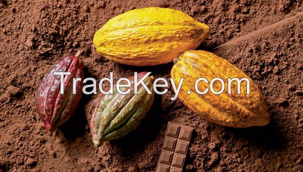 Best Quality Cocoa Powder At Cheap Price