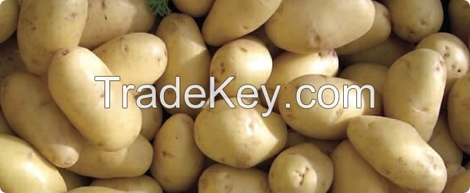 Quality Native Potato Starch For Sale