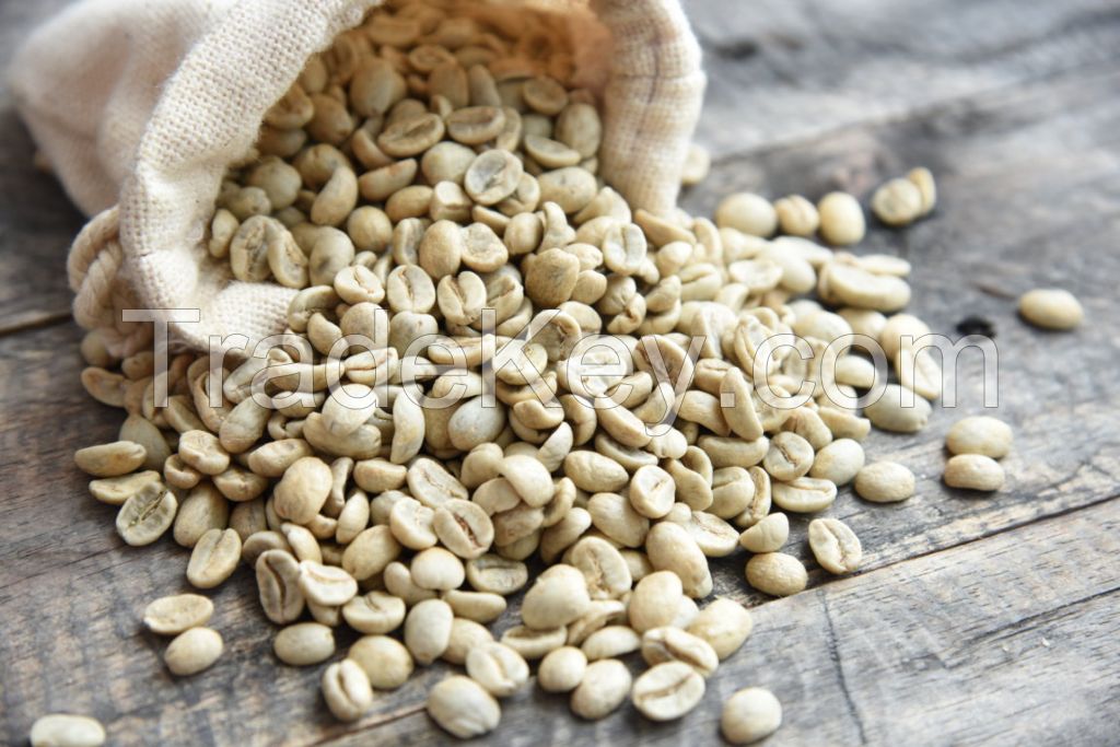 Vietnamese Arabica Coffee Beans
