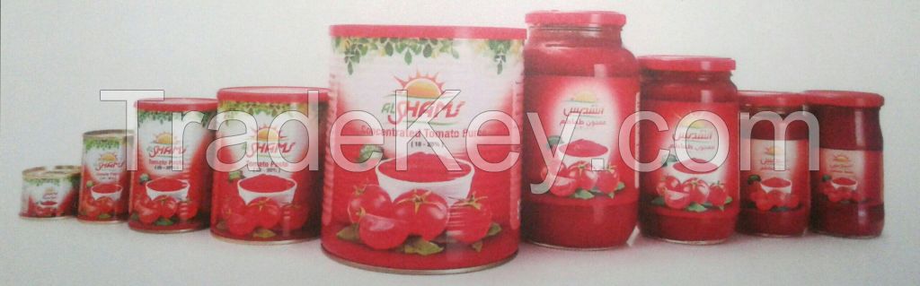 Tomato Paste