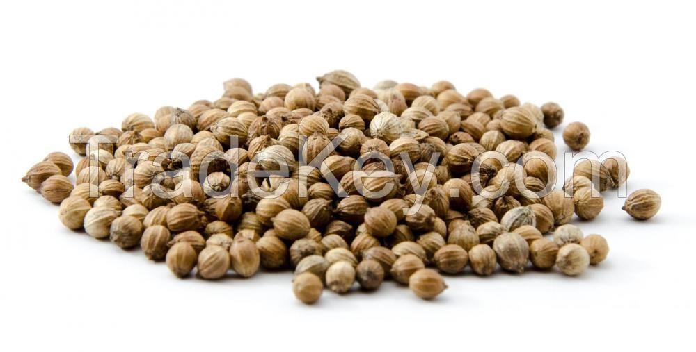 Hot Sale! Coriander Seeds