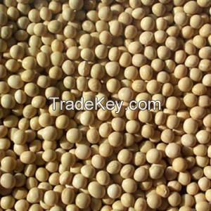 Best Price Soybeans