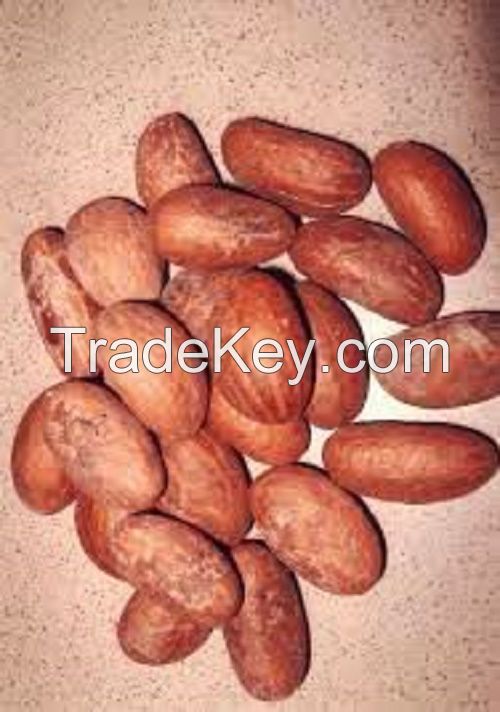 Garcinia (Bitter) Kola Nut, 