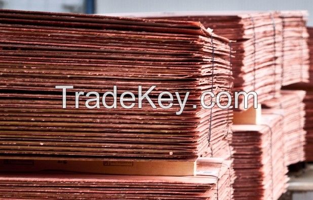 Copper Cathodes