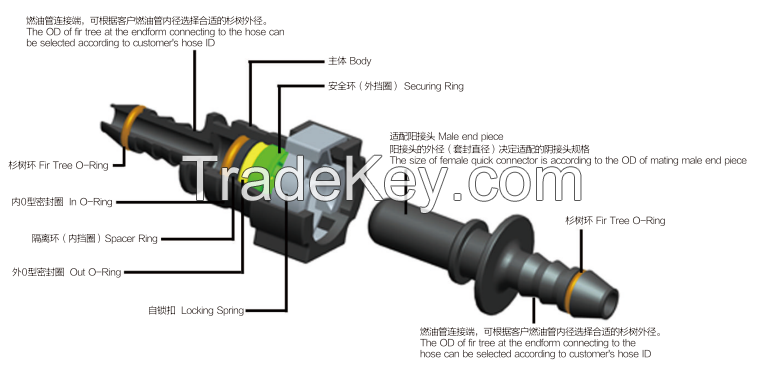 Female quick connector