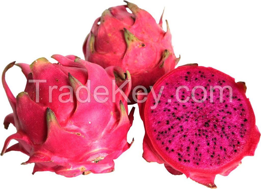 Fresh Dragon Fruits