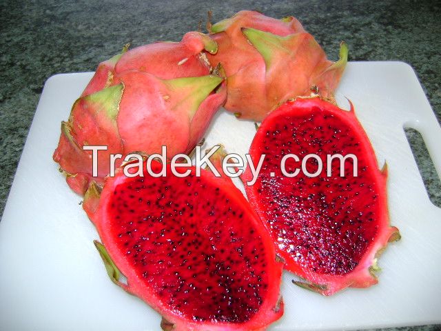 Fresh Dragon Fruits