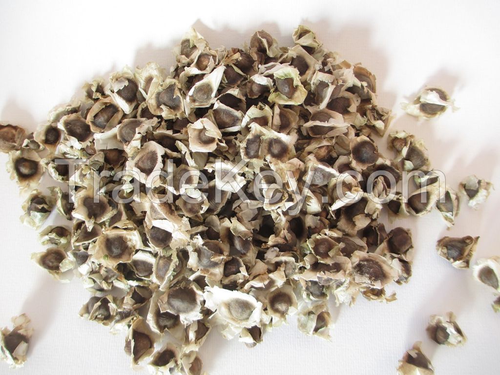 Moringa seeds