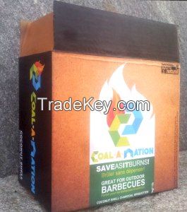 coconut charcoal briquettes in retail boxes