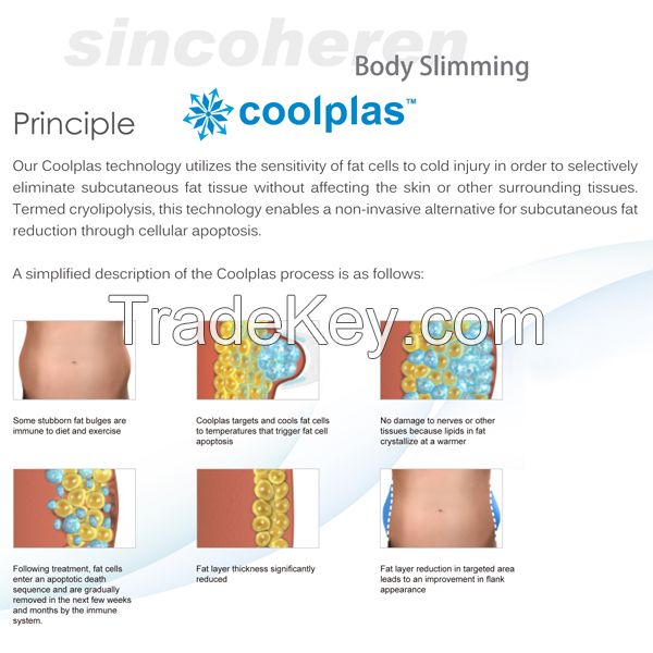 Coolsculpting cryolipolysis vacuum cavitation body slimming shaping machine
