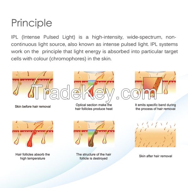 FDA approved Elight IPL SHR laser hair removal beauty equipment 