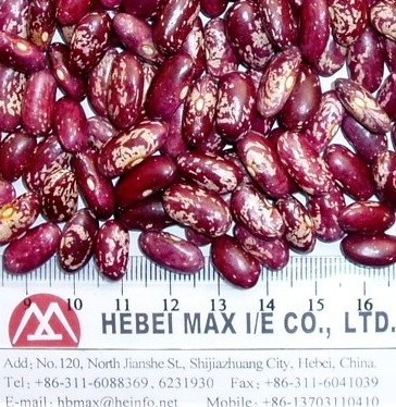 Red Speckled Kidney Beans