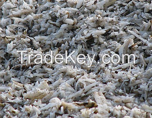 Sugar beet pulp pellets