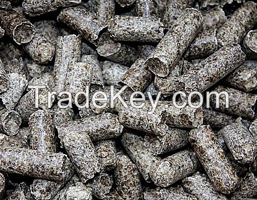 Sugar beet pulp pellets