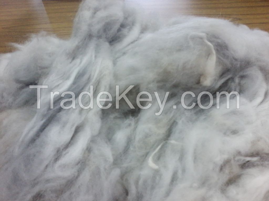 English Angora Rabbit Fur