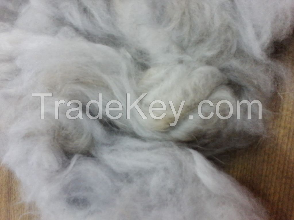 English Angora Rabbit Fur