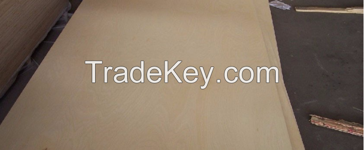 Vietnam high quality Grade AB BC Packing Plywood cheap price