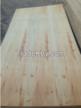 Vietnam Packing Plywood BB/CC grade Cheapest Price in the world