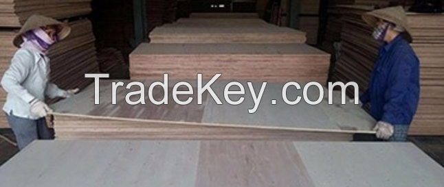 Packing Plywood AB/BB/CC grade Cheap Price