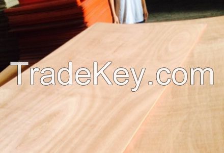 Vietnam high quality Grade AB BC Packing Plywood cheap price