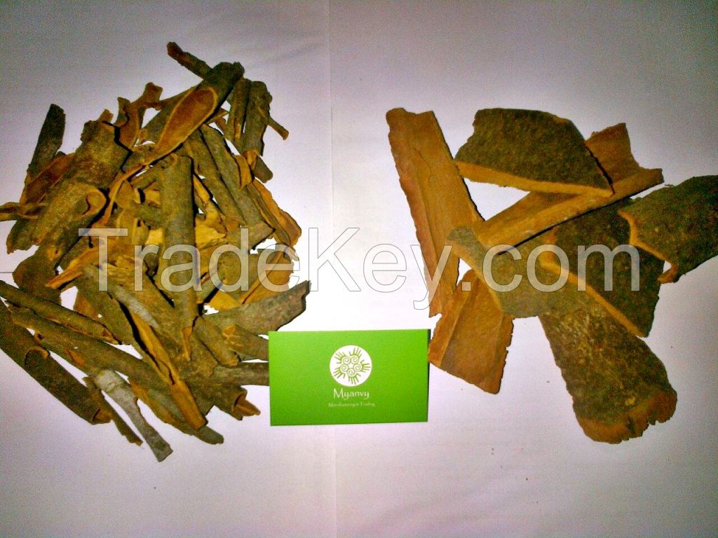 Cassia Cinnamon (Cigarette, Broken, Powder, ...)