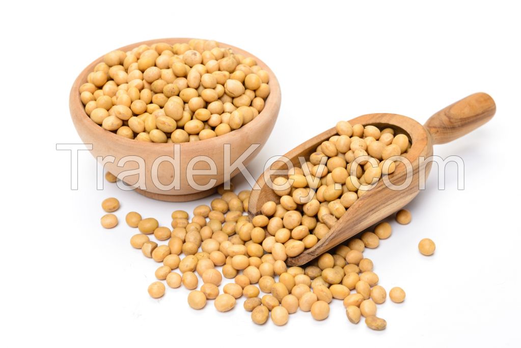 Organic Soybeans