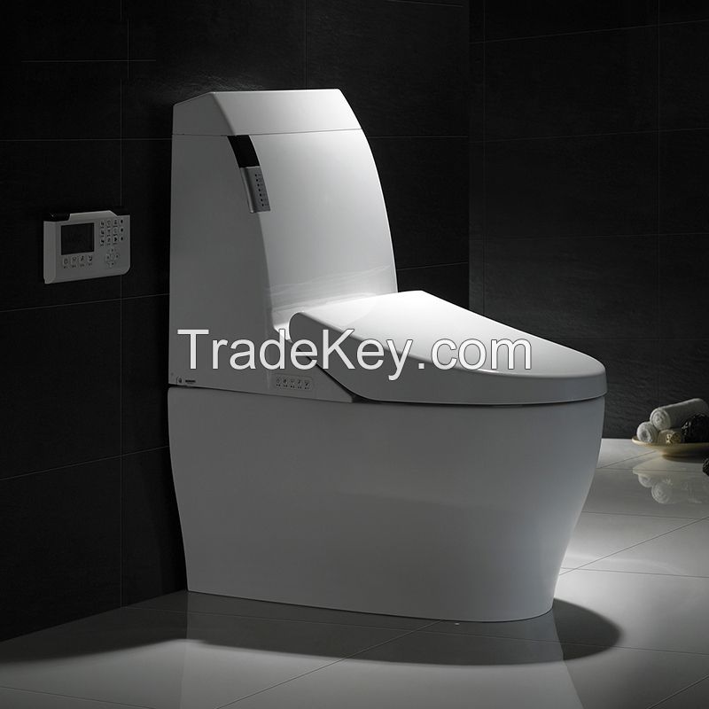 Automatic bidet toilet/ ceramic japanese wc with spray KD-T002A