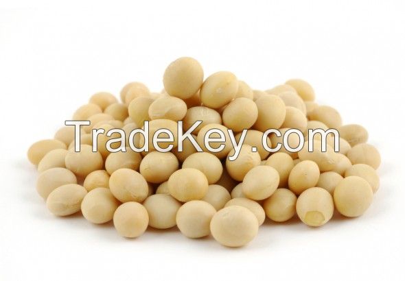 Soyabean Seed