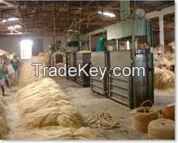 100% Sisal Fiber Natural, Raw Cotton, And Other Fibres