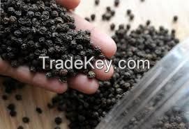 Dried Black Pepper 500gl/ Black Pepper 550gl, Vietnam Pepper, Cardoon Spices And Other Spices