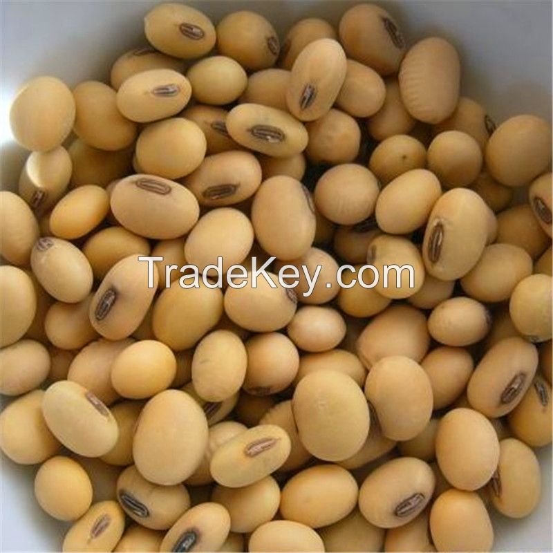 Soya beans seeds