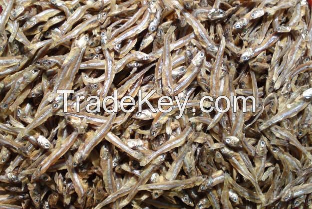 Dried Anchovies